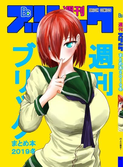 Шуканский кирпич