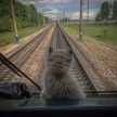 User avatar for Сергей Василевский